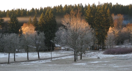 Winterwiese
