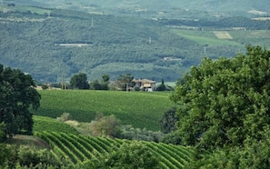 Vue aérienne