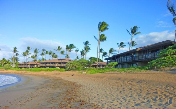 Welcome to Sugar Cove Beach