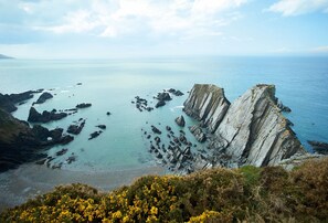 Enjoy stunning views out across the Bristol Channel from the headland