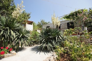 Jardin