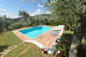 Garden, Outdoor, Pool, Scenic View