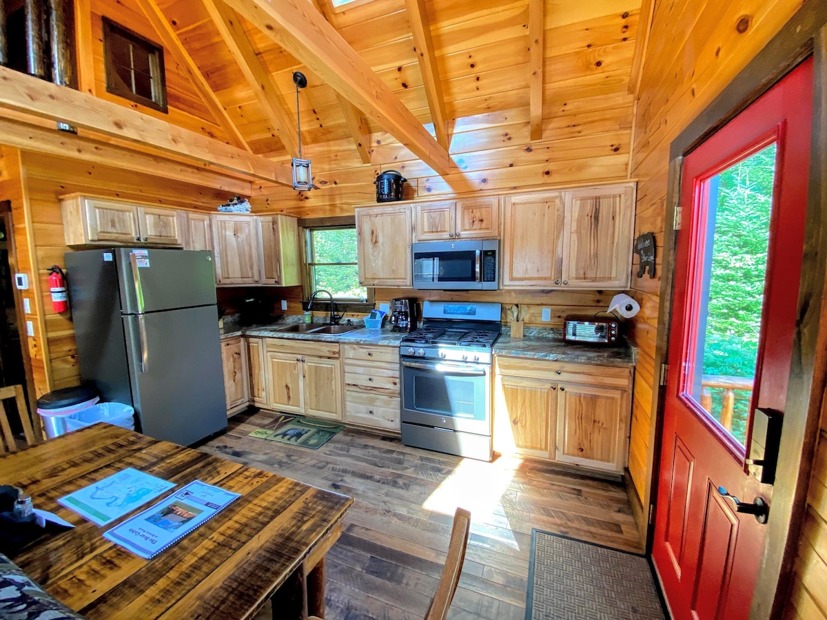 BC Log cabin 1 mile from skiing, reliable wifi, beach, slope views! Hot tub! Pool/gym passes!