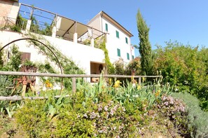 Garden, Outdoor