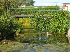 Jardines del alojamiento