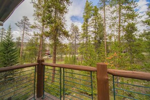 Forested Colorado landscape views #summer