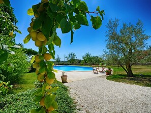 Jardin