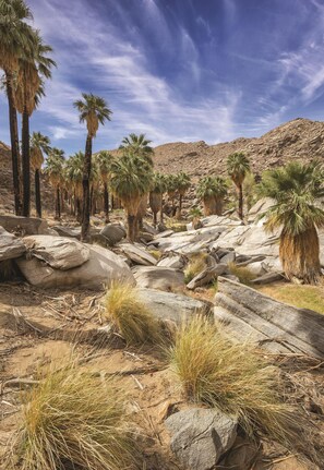 72627904-H1-WbW_palm_Springs_scenic_11-min