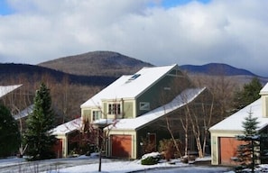 Early winter under a light blanket of snow