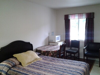 COLONIAL INN MOTEL, BUDGET DOUBLE ROOM ( BDR-1)