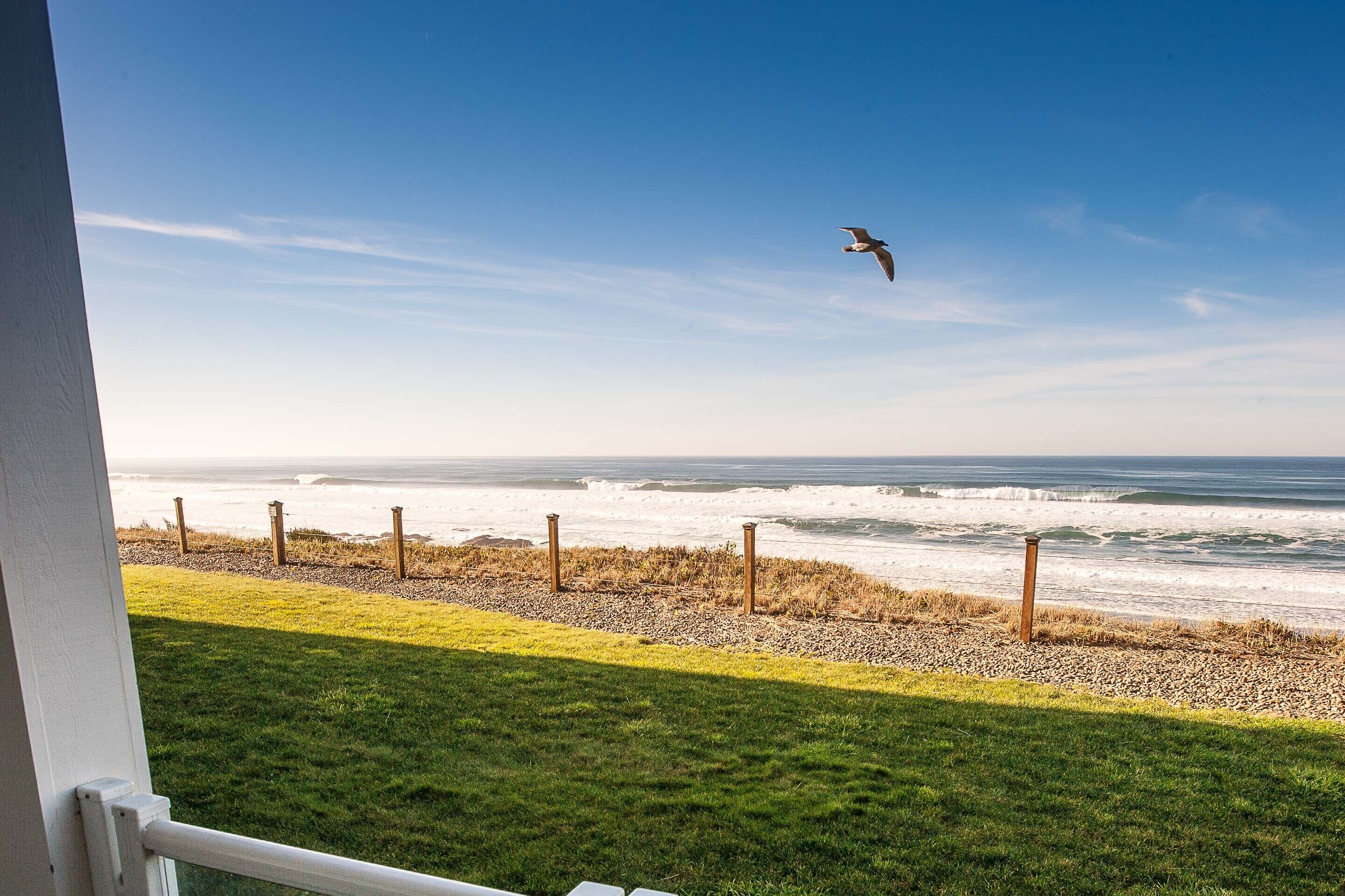 Oceanfront Patio