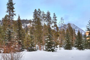 Winter mountain views!