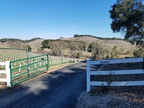 Gated and paved access 