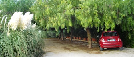 Jardines del alojamiento