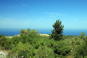 Spiaggia