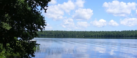 Järvi