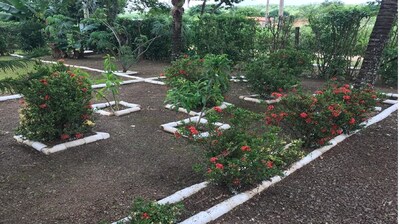 Chácara da Mineira, lugar maravilhoso para seu Lazer, Agrishow e Hospedagem