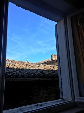 view from the window