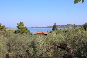 Oklassificerad bild, 5 av 32, knapp
