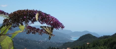 Vista dal giardino