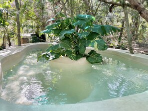 jacuzzi (common area, warm water)