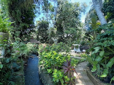 Lower garden