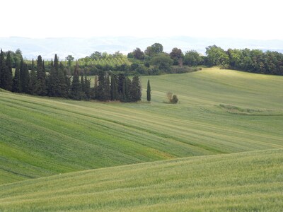 Farmhouse in the hearth of Tuscany: tradition, nature, relax, food & wine.(3b6s)