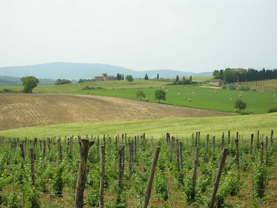 Farmhouse in the hearth of Tuscany: tradition, nature, relax, food & wine.(3b6s)