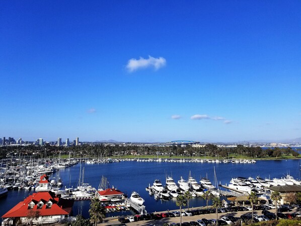 View from Balcony