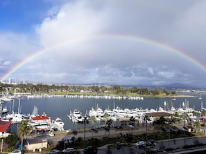 View from the Balcony
