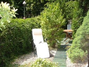 Garden in the summer