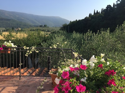 APARTMENT IN VILLA A FEW KM FROM FLORENCE