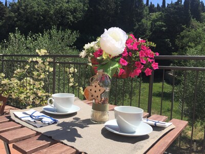 APARTMENT IN VILLA A FEW KM FROM FLORENCE