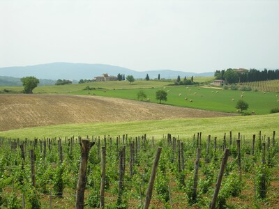 Farmhouse in the hearth of Tuscany: tradition, nature, relax, food & wine.(2b4s)