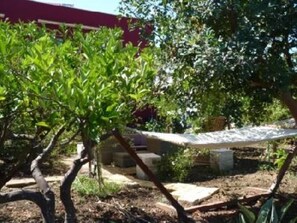 Garden, Park