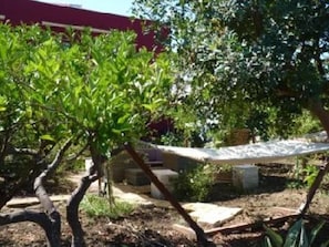 Garden, Park