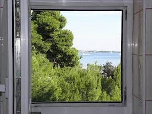 A20(2+2): window view
