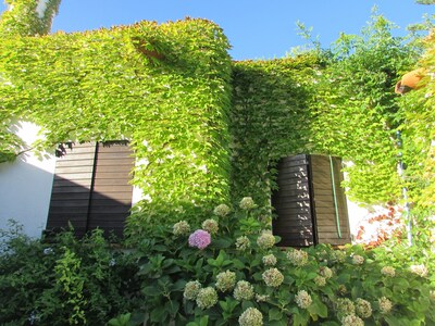 Picture of villa