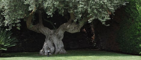 Jardines del alojamiento