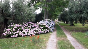 Boendeområde
