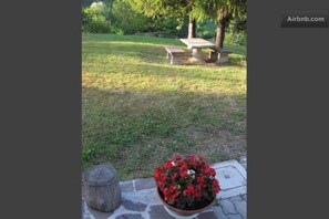 Garden, Park
