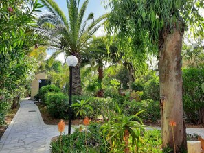 Garten am Bungalow La Perla di Sicilia / garden around the bungalow at the beach