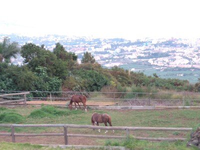 Holiday paradise in breathtaking nature with horse riding for young and old 