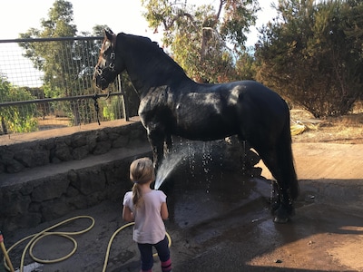 Holiday paradise in breathtaking nature with horse riding for young and old 