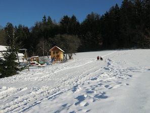 Snow and ski sports