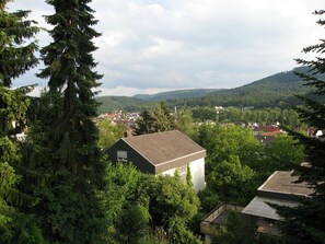 Blick in den Schwarzwald Richtung Innenstadt