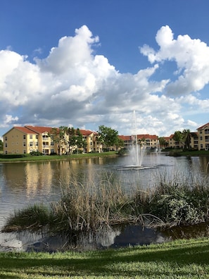 Lakeview from pool area, see many birds, ducks, turtles and fish in this area