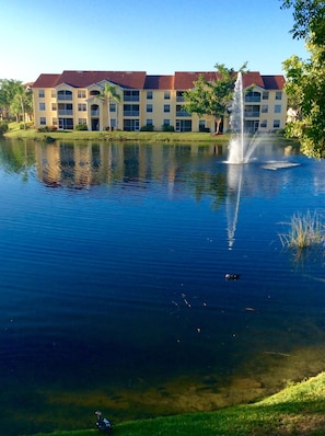 Lake view from our condo building, best view on the property!