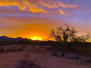 We took this picture right outside our condo. Love our Arizona sunsets!