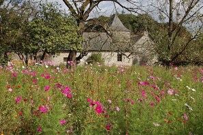 View of Manoir du Mur in Summer